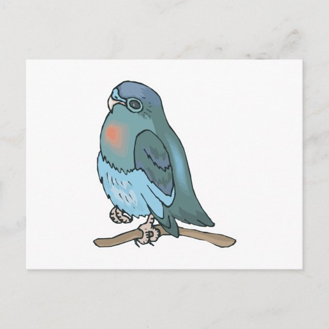 green and blue budgie bird postcard (Front)