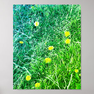Green and Blue Dandelions  Poster