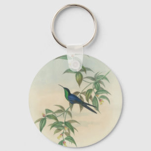 Green and Blue Gould Hummingbird Keychain
