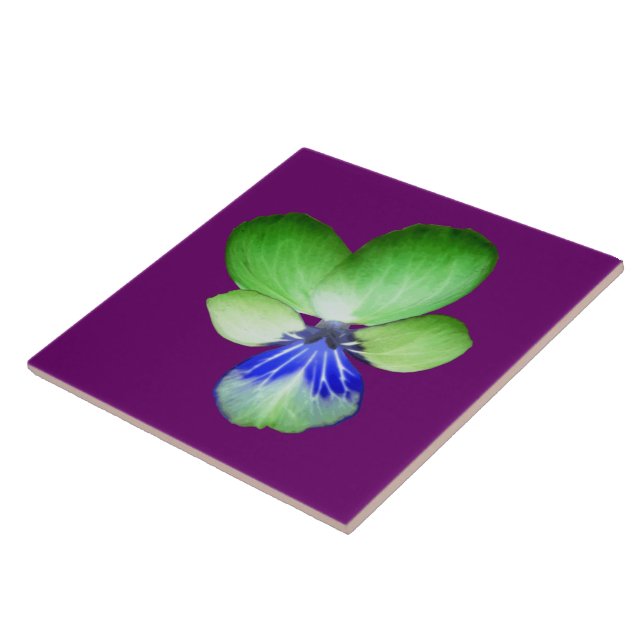 Green and Blue Pansy Tile (Side)