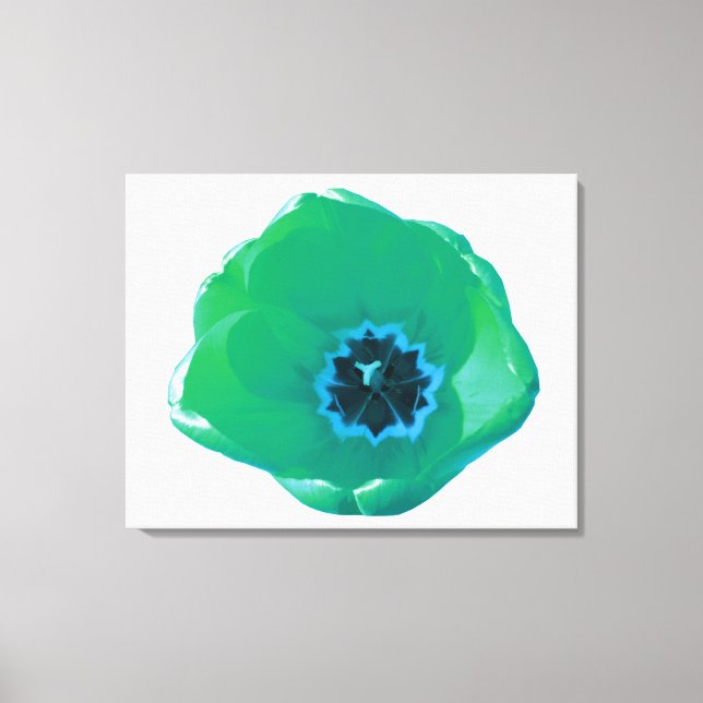 Green and Blue Tulip Canvas Print (Front)