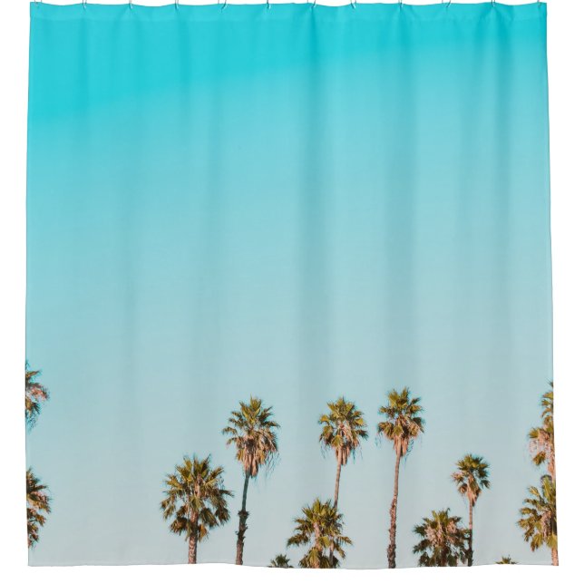GREEN-AND-BROWN PALM TREES UNDER CLEAR BLUE SKY (Front)