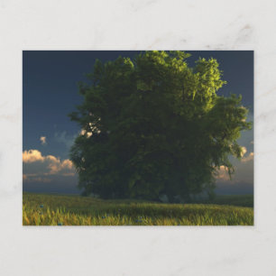 Green and Gold Postcard