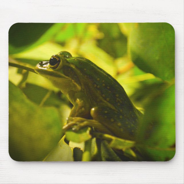 Green and Golden Bell Frog Mouse Pad (Front)