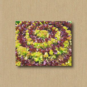 Green and Maroon Lettuce in Circular Pattern Canvas Print