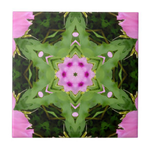 GREEN AND PINK ABSTRACT DRAWING. SAMER BRASIL. 4 TILE