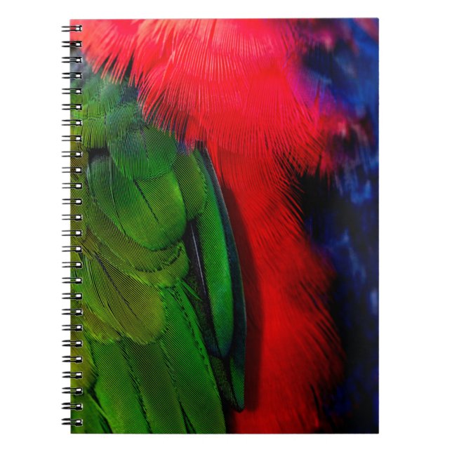 Green and red bird tails notebook (Front)
