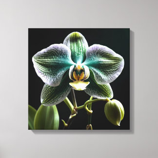 Green and White Orchid Canvas Print
