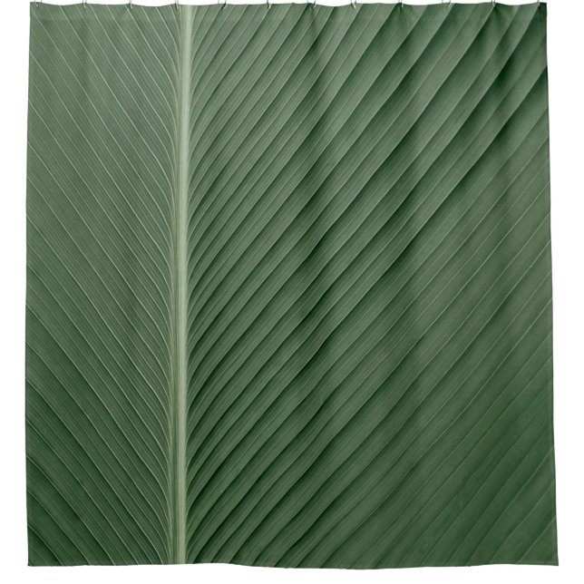 Green and white striped textile (Front)