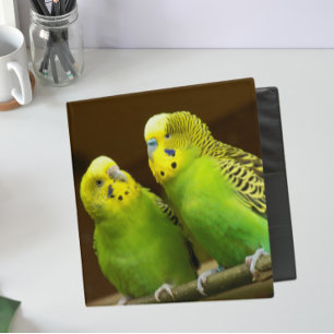Green and Yellow Parakeets Binder