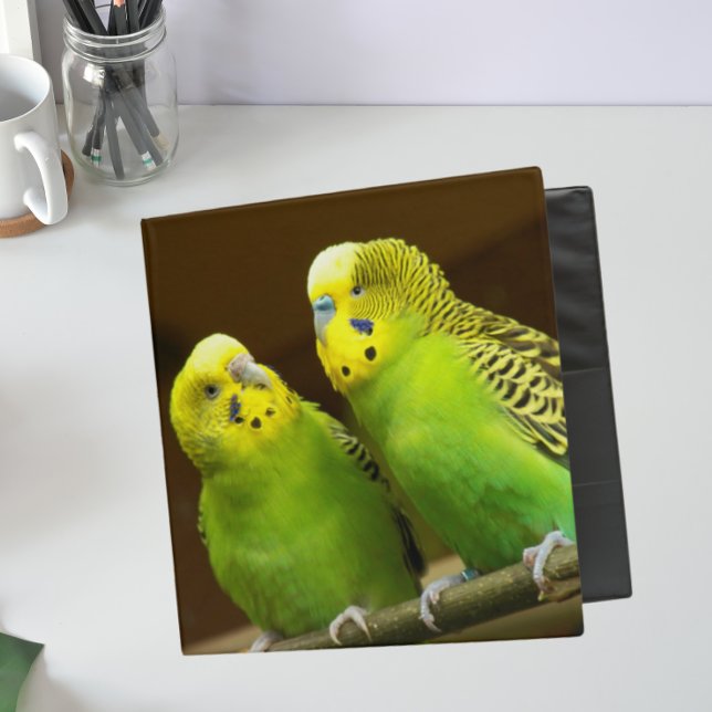 Green and Yellow Parakeets Binder (In Situ Front)