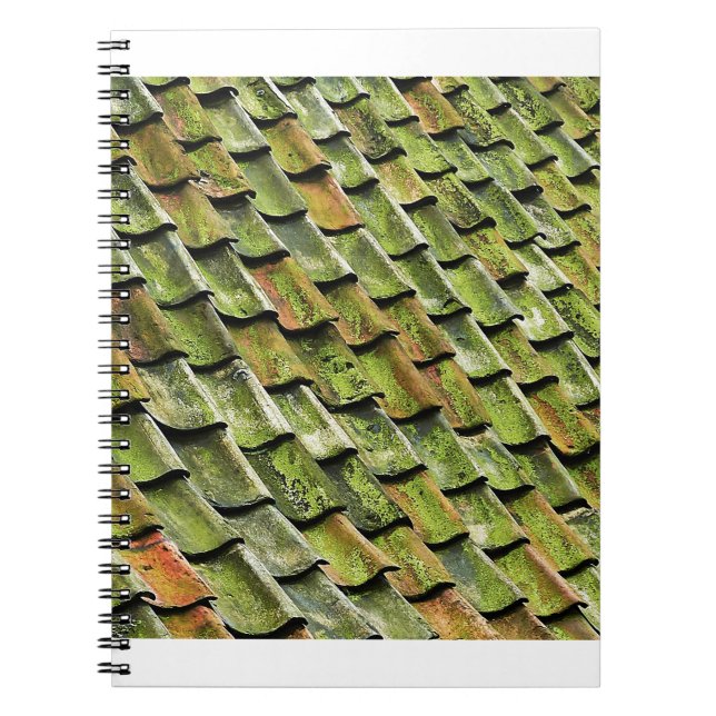 green angles notebook (Front)