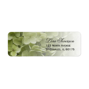 Green Annabelle Hydrangea Floral Adresse de retour