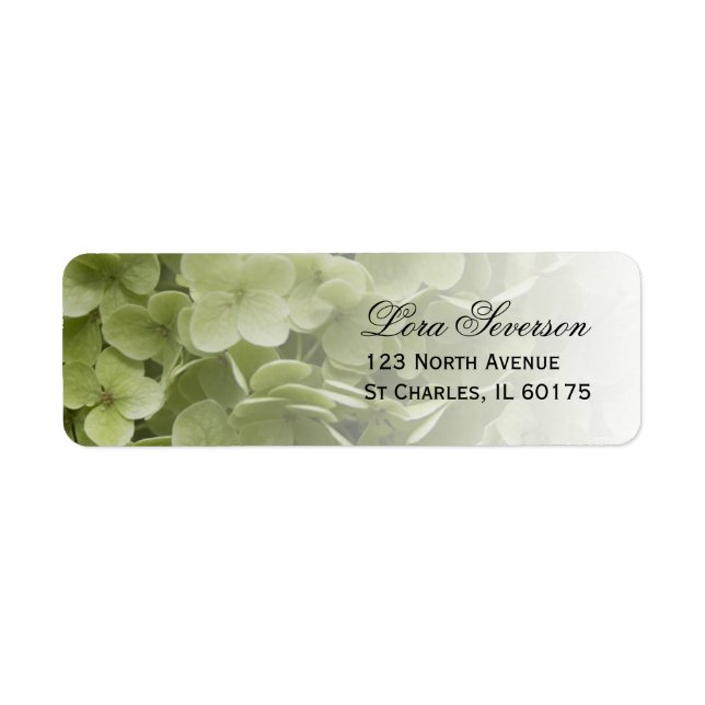 Green Annabelle Hydrangea Floral Return Address (Front)