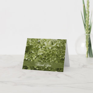Green Annabelle Hydrangea Thank You