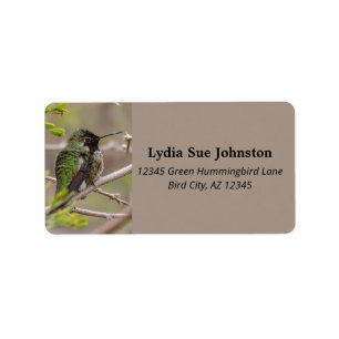 Green Anna's Hummingbird On Mesquite Tree Branch Label