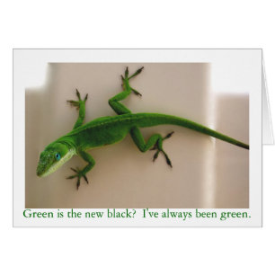 Green Anole