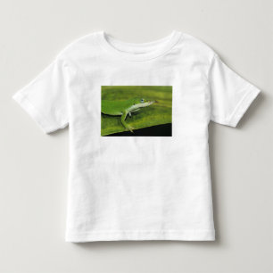 Green Anole, Anolis carolinensis, adult on palm Toddler T-shirt