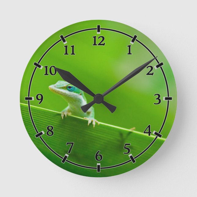 Green Anole Lizard Encounter Cute little thing Round Clock (Front)