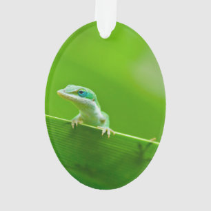 Green Anole Lizard Encounter Ornament