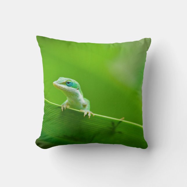 Green Anole Lizard Encounter Throw Pillow (Front)
