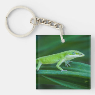 Green Anole Lizard Keychain