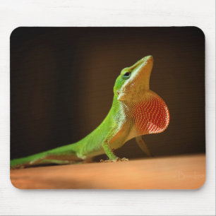 Green Anole Lizard with Red Thraot Mouse Pad