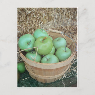Green Apples Postcard