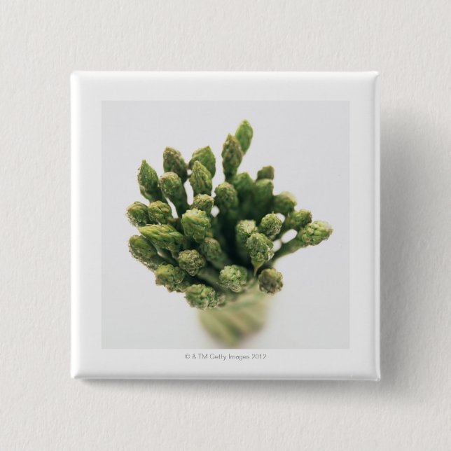 Green Asparagus 2 Inch Square Button (Front)