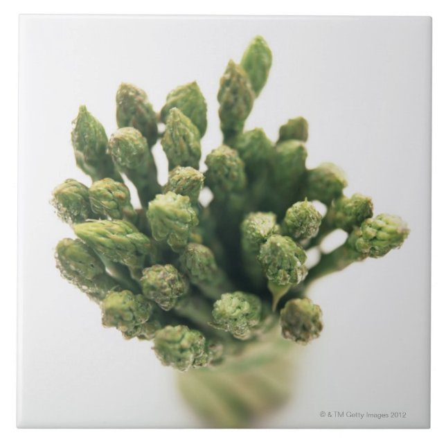 Green Asparagus Tile (Front)