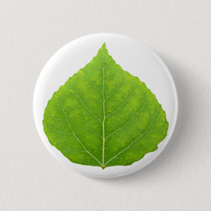 Green Aspen Leaf #11 2 Inch Round Button