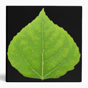 Green Aspen Leaf #11 Binder