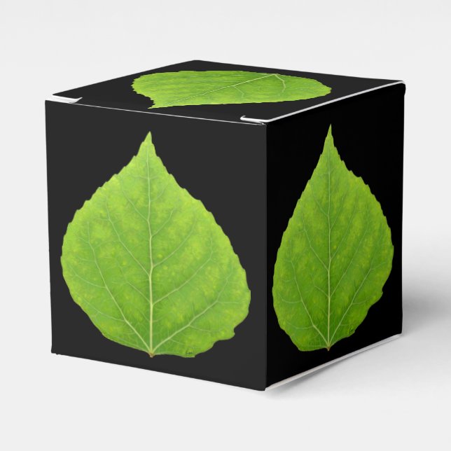 Green Aspen Leaf #11 Favor Box (Front Side)