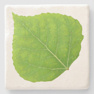 Green Aspen Leaf #11 Stone Coaster