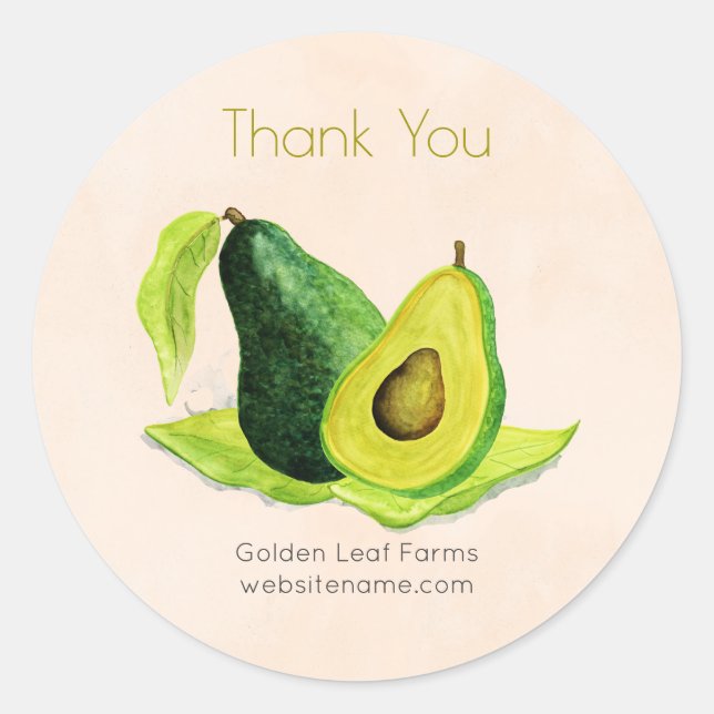 Green Avocado Still Life Fruit Thank You Classic Round Sticker (Front)