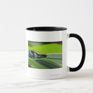 Green-backed mantella mug