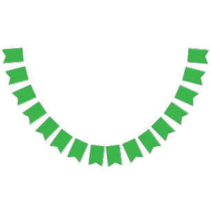 Green Background and White Border for a Modern Aes Bunting Flags
