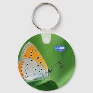 Green background & yellow,white butterfly & spider keychain