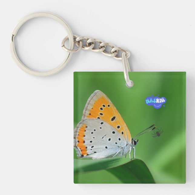 Green background & yellow,white butterfly & spider keychain (Front)