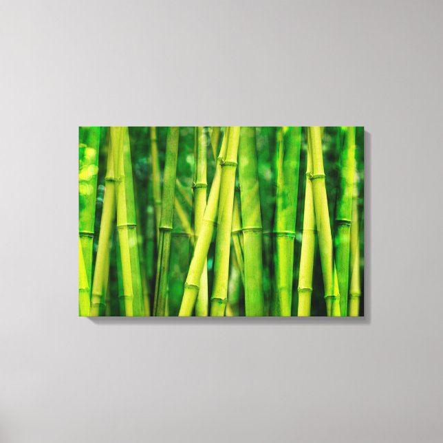 Green Bamboo Canvas Print (Front)