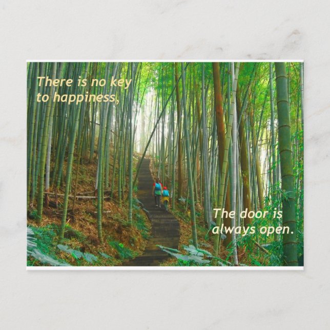Green Bamboo Forest Postcard (Front)
