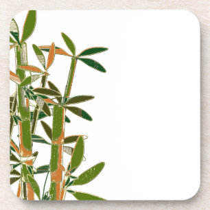 Green bamboo isolated on white background coaster