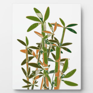 Green bamboo isolated on white background plaque