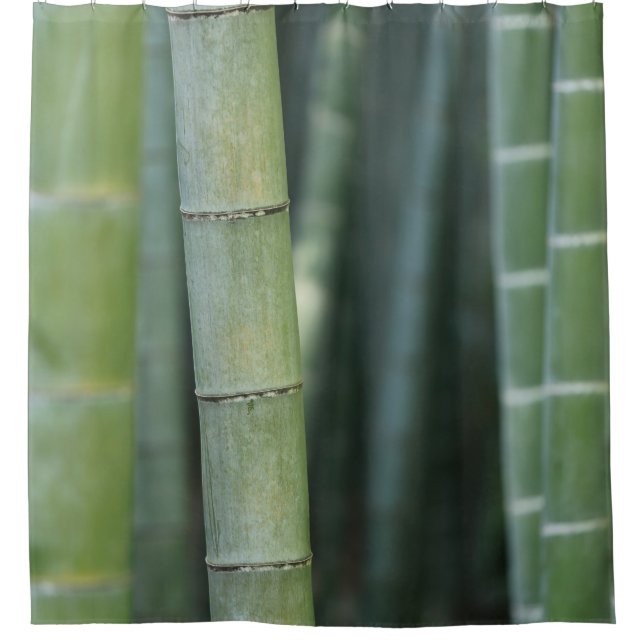 Green bamboo shoots (Front)
