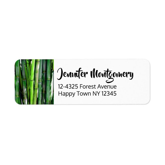 Green Bamboo Stalks Nature Photography (Front)