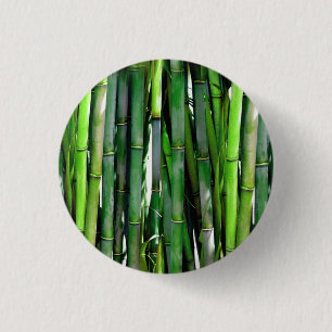 Green Bamboo Stalks Nature Photography 1 Inch Round Button