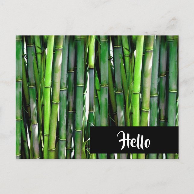 Green Bamboo Stalks Nature Photography - Hello Postcard (Front)