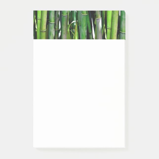 Green Bamboo Stalks Nature Photography Post-it Notes (Front)