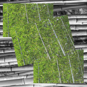 Green Bamboo Trees Grove Natural Photographic Tissue Paper