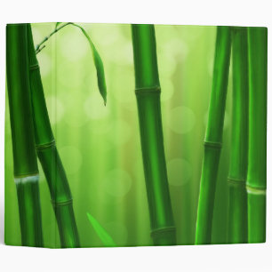Green Bamboo With Pale Bokeh Lights In The Back Binder